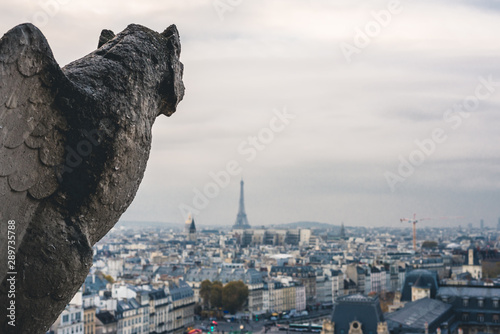 Gargoyle overlooking the Eiffel Tower