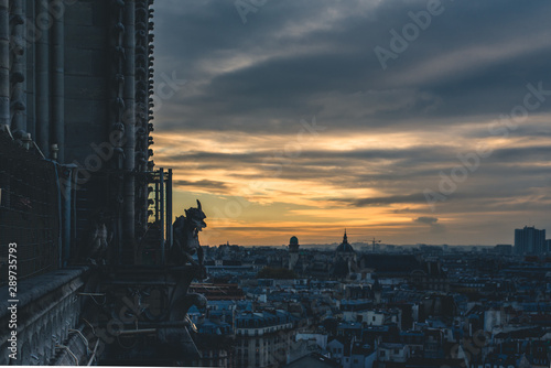 Fotografia, Obraz Gargoyle in Notre Dame at sunset