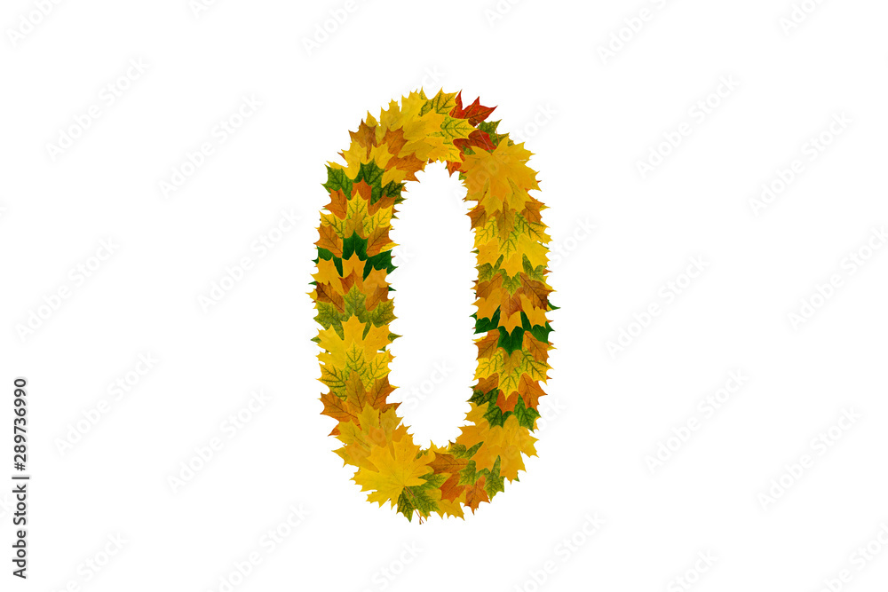 Digit 0 from autumn maple leaves isolated on white background. Alphabet from green, yellow and orange leaves