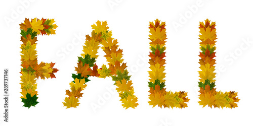 Phrase Fall of yellow, green and orange maple autumn leaves close-up. Isolate on white background