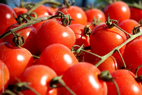 Pomodori