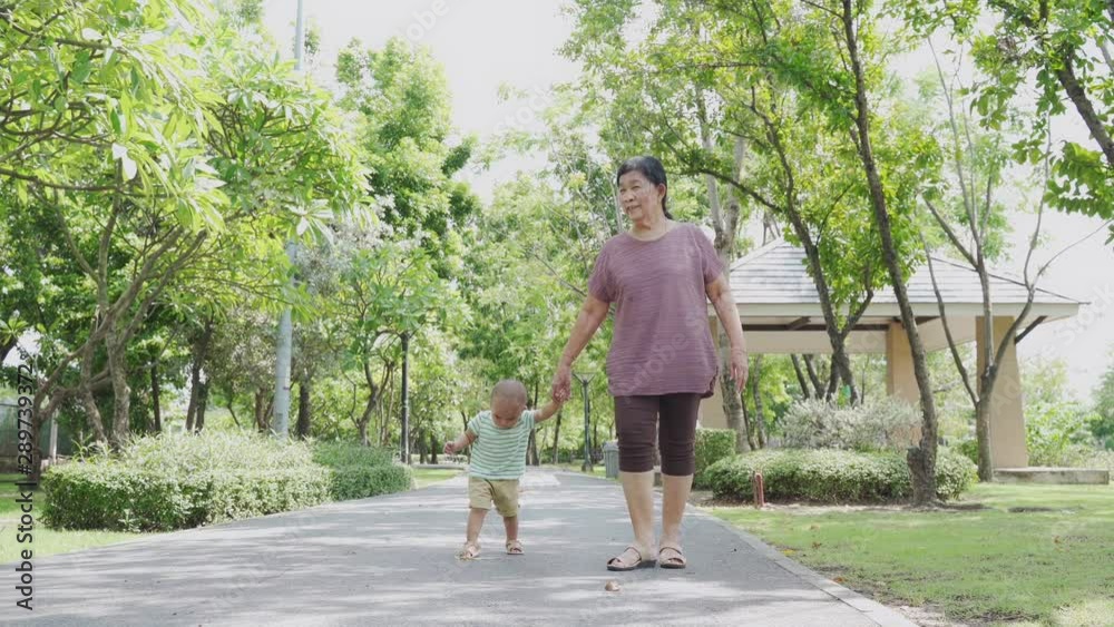 Baby boy feeling happy to walking in the park with grandmother support by hold the baby's hands. Happy family in the park concept. Baby boy feeling happy to walking in the park with grandmother support by hold the baby's hands. Happy family in the park concept.