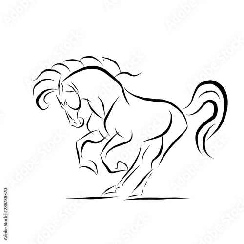 Vector illustration of a horse running gallop isolated on white background