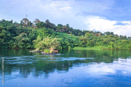 View of the fisherman in boats fishing on the Victoria Nile river, with trees growing and the reflections on the water, Jinja, Uganda, Africa
