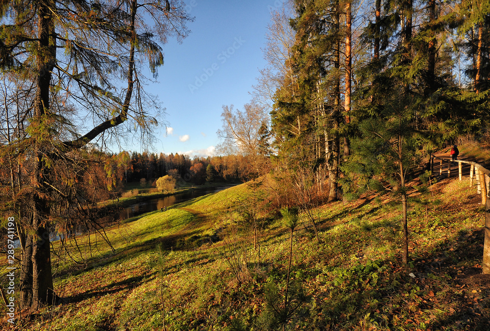 Obraz premium Sunny frosty morning in the landscape Park of Pavlovsk.