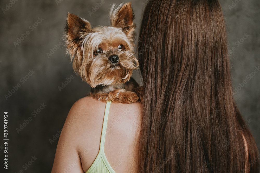 Naklejka premium Yorkshire Terrier dog on a girl’s shoulder, vintage tinted