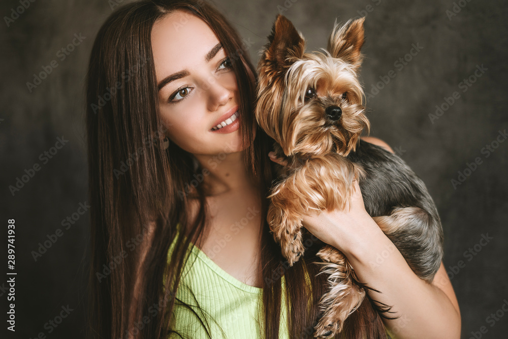Yorkshire Terrier dog with a beautiful girl Yorkshire Terrier dog with a beautiful girl