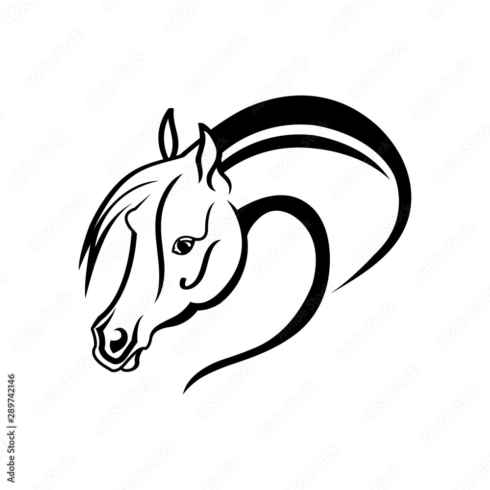 Horse head vector illustration on a white background Horse head vector illustration on a white background