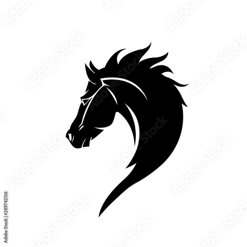 Horse head vector illustration on a white background
