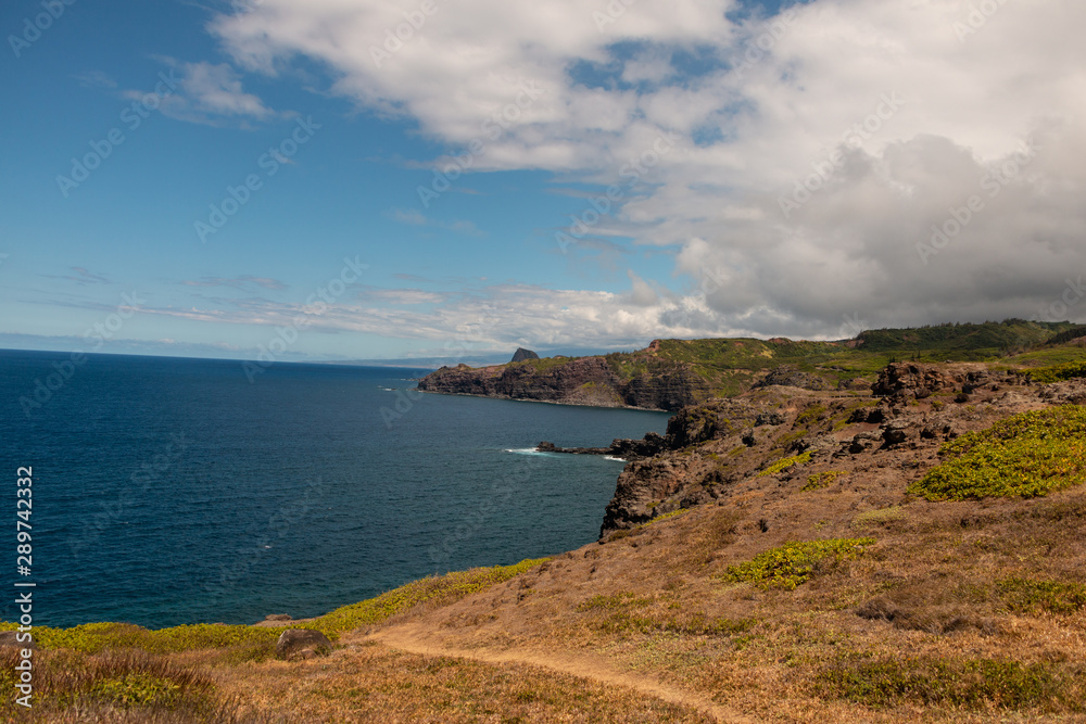Fototapeta premium Honolua Bay Maui Hawaii Coastline