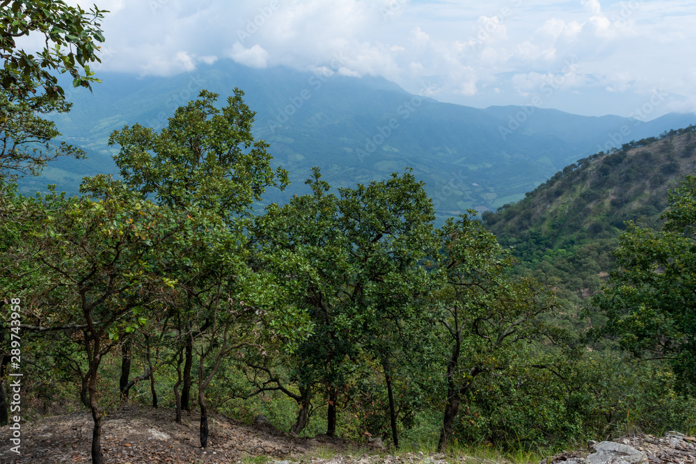 Obraz premium RESTOS ARQUEOLOGICOS