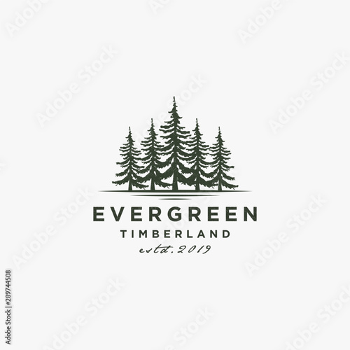 Rustic Retro Vintage Evergreen, Pines, Spruce, Cedar trees logo design inspiration