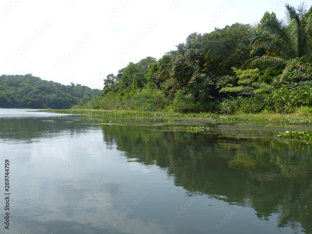 Seitenarm des Panamakanals Bäume spiegeln in ruhigem Wasser 