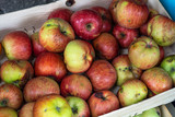  organic  red apples in a wooden crate