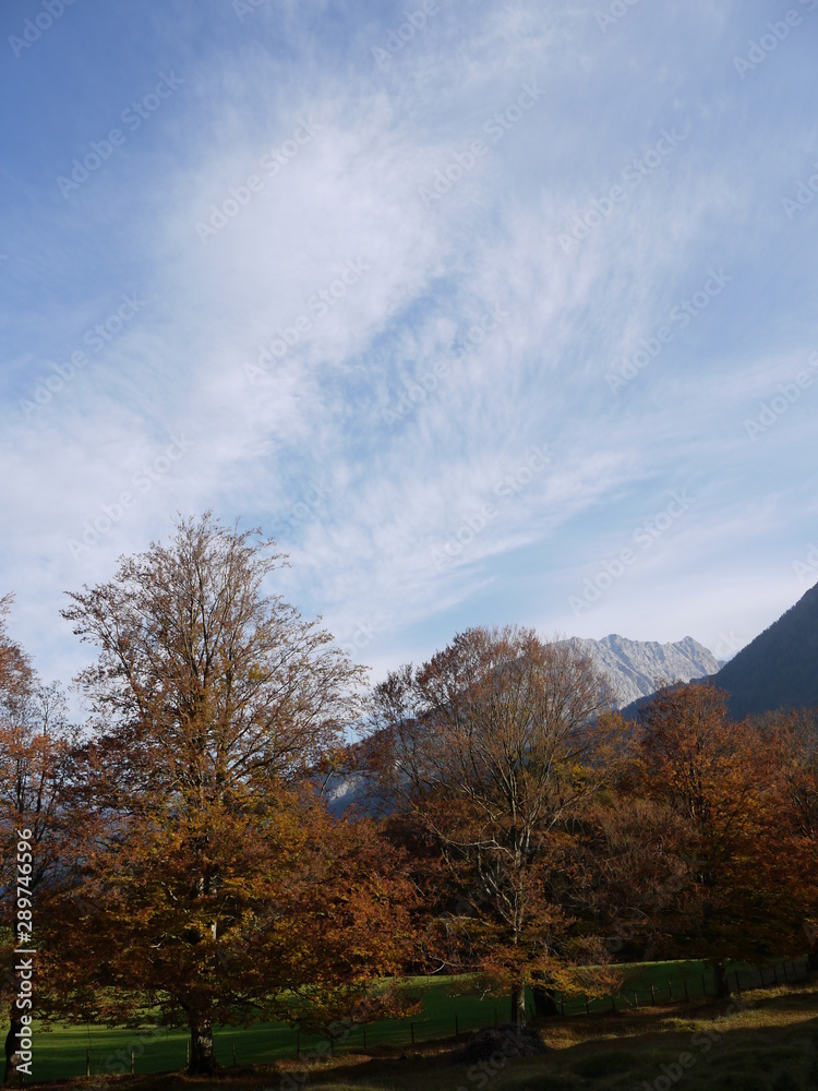 Fototapeta premium Herbst in den Bergen