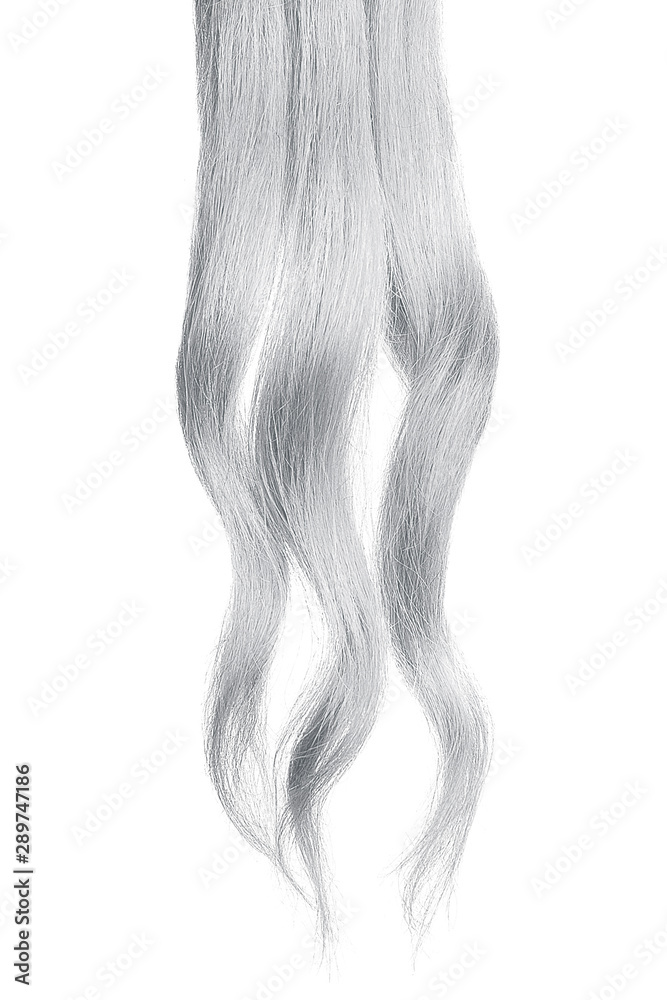 Gray hair, isolated on white background Gray hair, isolated on white background
