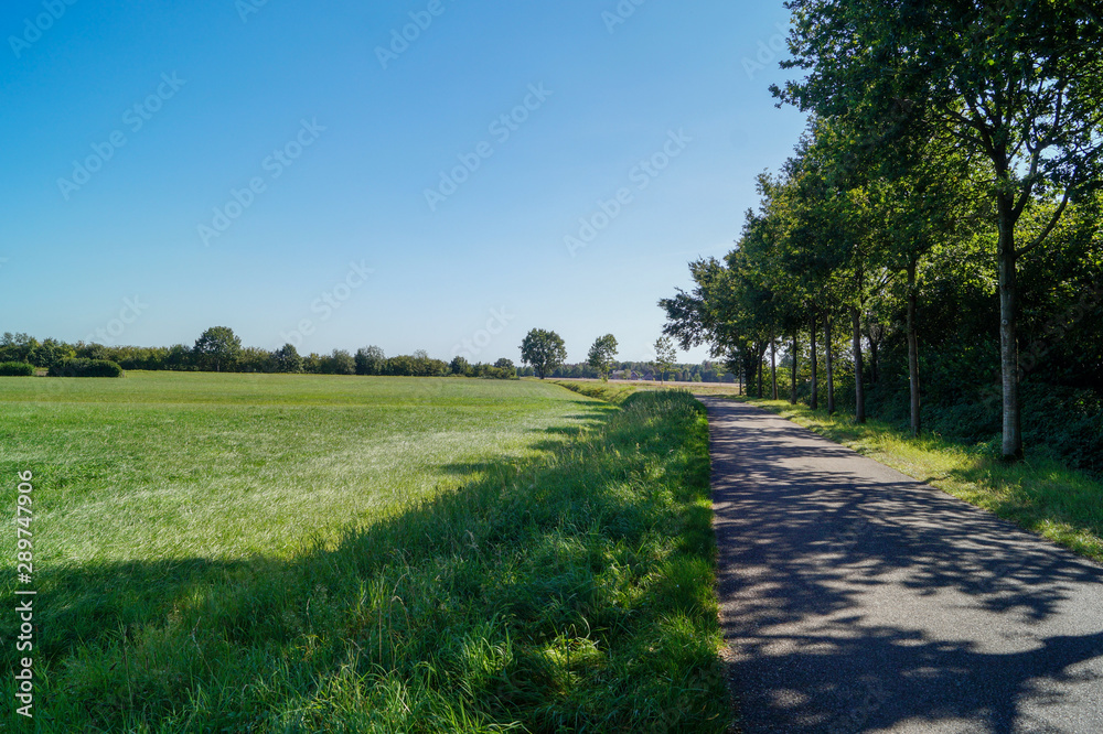 road in the countryside