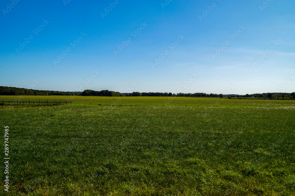 Obraz premium green field and blue sky