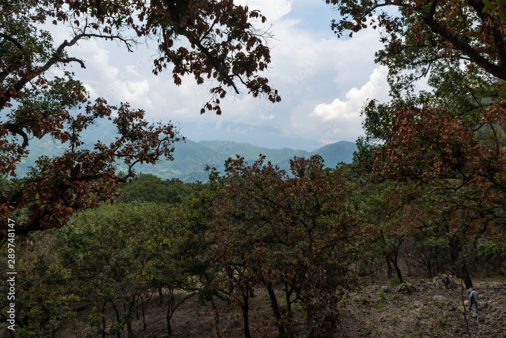 Fototapeta premium cerros