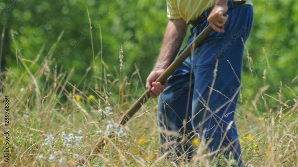Senior man cuts the grass and hay the traditional way. Old man harvesting and turning the hay on the field. Countryside rural scene. Senior man cuts the grass and hay the traditional way. Old man harvesting and turning the hay on the field. Countryside rural scene.