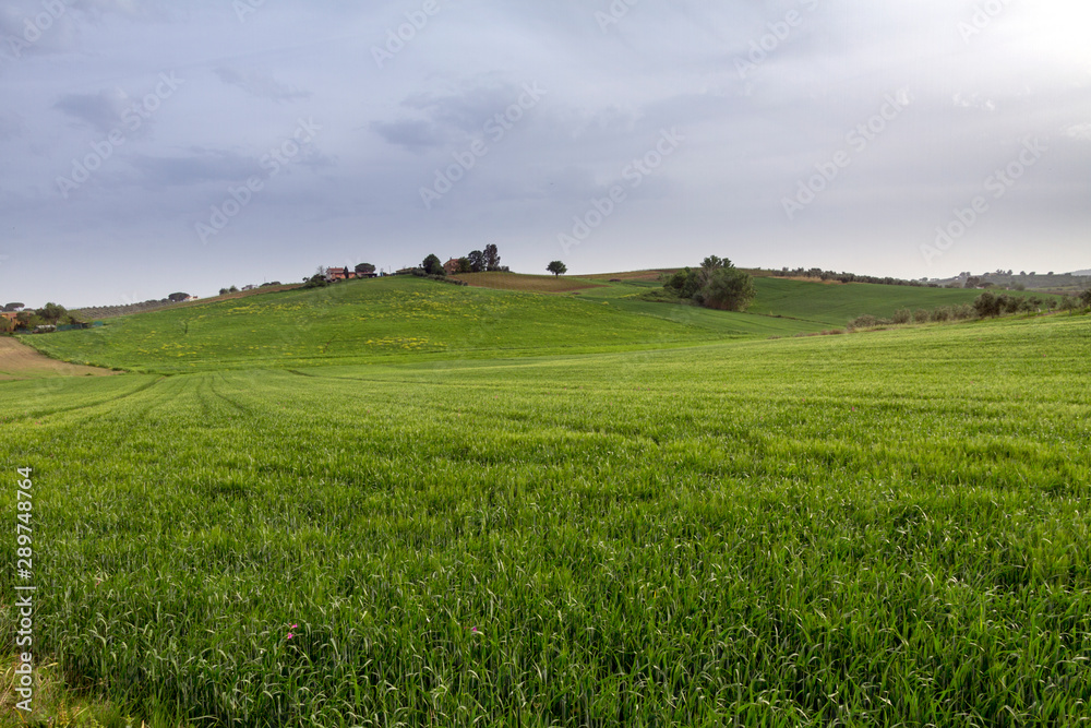 Magliano in Toscana (Grosseto)