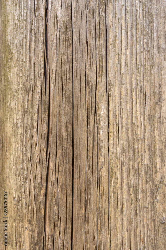Fence from old weathered pine boards. Texture of natural aged wood. Woodworm holes, rusty nails. Creative vintage background. Fence from old weathered pine boards. Texture of natural aged wood. Woodworm holes, rusty nails. Creative vintage background.