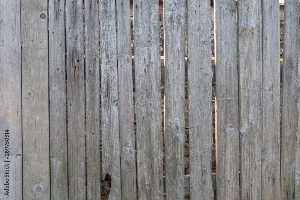 Fence from old weathered pine boards. Texture of natural aged wood. Woodworm holes, rusty nails. Creative vintage background. Fence from old weathered pine boards. Texture of natural aged wood. Woodworm holes, rusty nails. Creative vintage background.