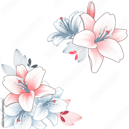 Hand-drawn lily flower. Vector element for design.