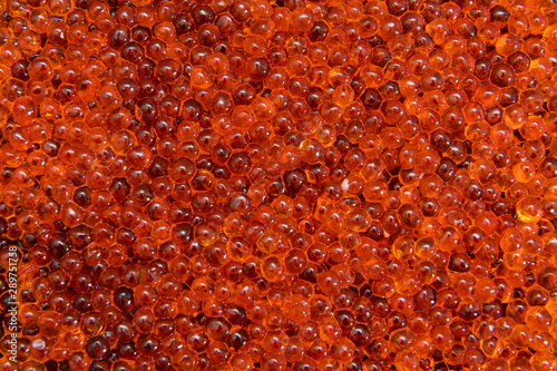 Red caviar close up background