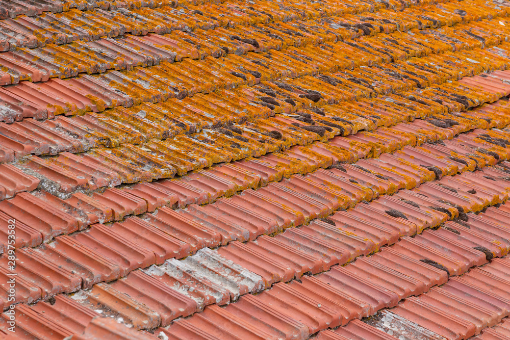 Background of old terracotta roof tiles in Tuscany, Italy