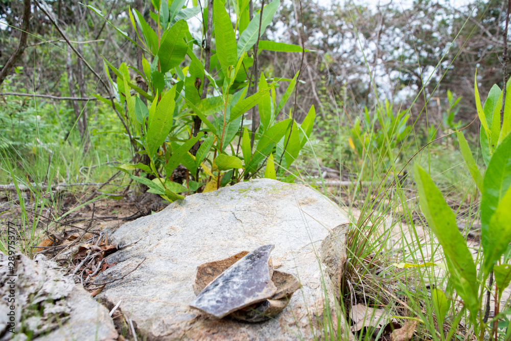 Obraz premium Senderismo