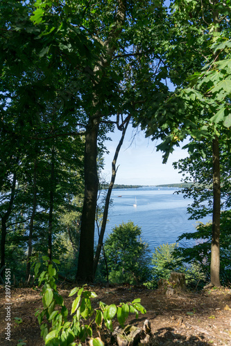 Photography Idyllic view of Grunewald, Havelhöhenweg, Berlin, Germany on a sunny day