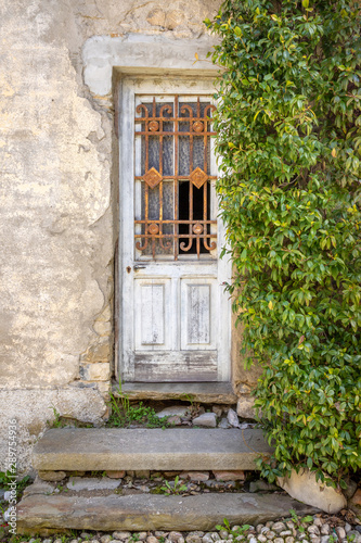 door of an ancient abandoned house with a climbing plant