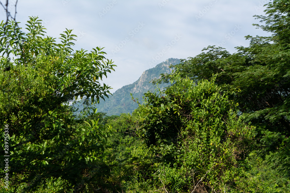 Obraz premium Senderismo