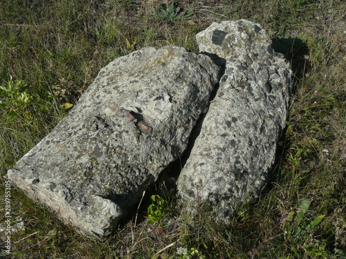 Two pieces of concrete lie on the dry grass.