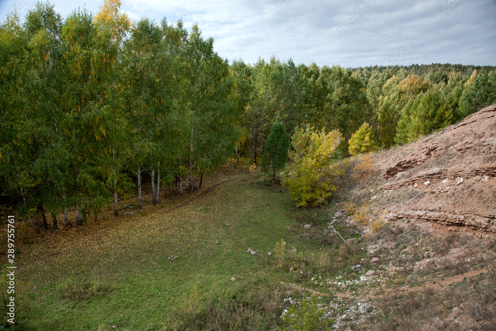 Golden autumn in deciduous forest Golden autumn in deciduous forest