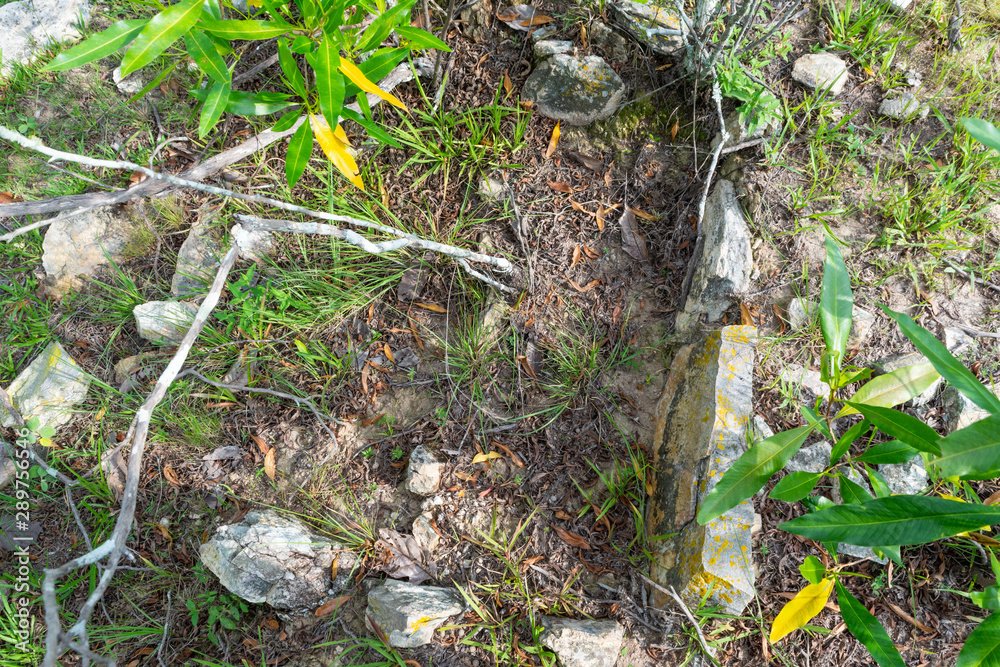 Obraz premium Senderismo