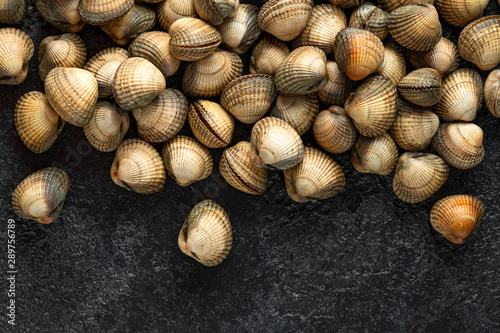 Fresh raw cockle molluscs in heart-shaped shells, sea food shellfish on dark background