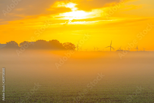 Sun shines on wind turbines in a foggy field at sunrise in summer