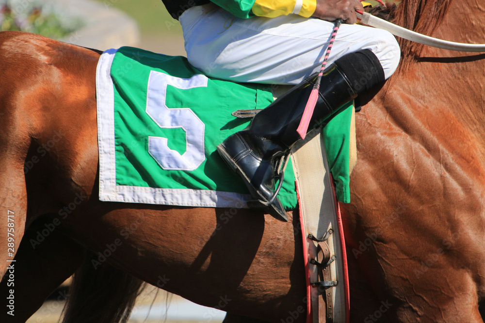 Horse racing  jockey in saddle details
