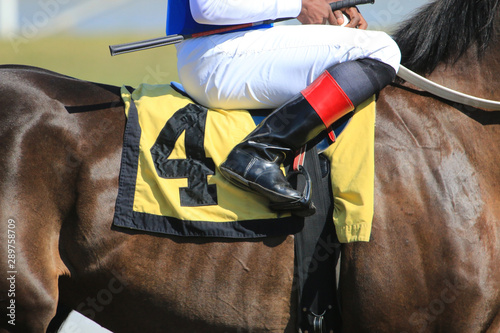 Fotografie Horse racing  jockey in saddle details