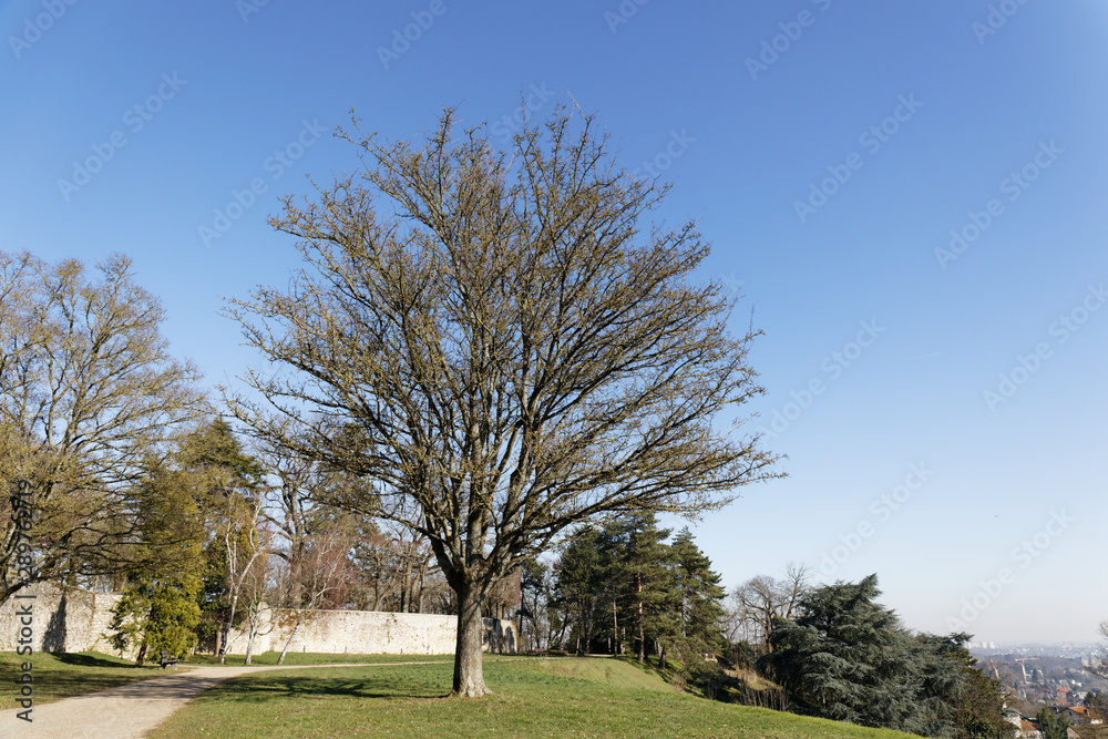 Obraz premium Le-Plessis-Robinson, France - Henri Sellier Park