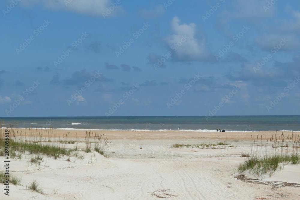 Sand dunes on the beach in Atlantic coast of North Florida 
