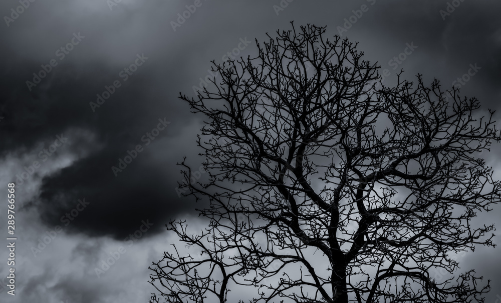 Silhouette dead tree and branch on grey sky background. Black branches of tree. Nature texture background. Art background for sad, dead, lonely, hopeless, and despair. Halloween day background. Silhouette dead tree and branch on grey sky background. Black branches of tree. Nature texture background. Art background for sad, dead, lonely, hopeless, and despair. Halloween day background.