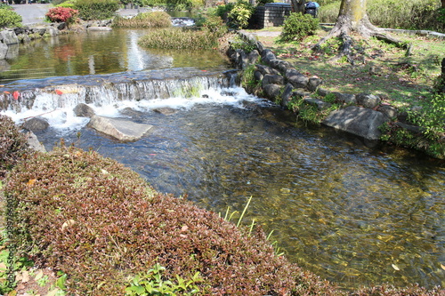 水辺の風景