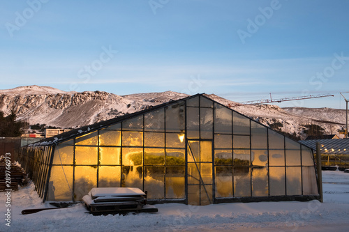 Gewächshäuser in Hveragerði. Das Hochtemperaturgebiet des Zentralvulkans Grensdalur liefert die notwendige Erdwärme zum betreiben von Landwirtschaft photo