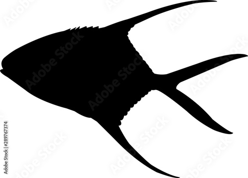Palometa Jack Fish Silhouette Vector