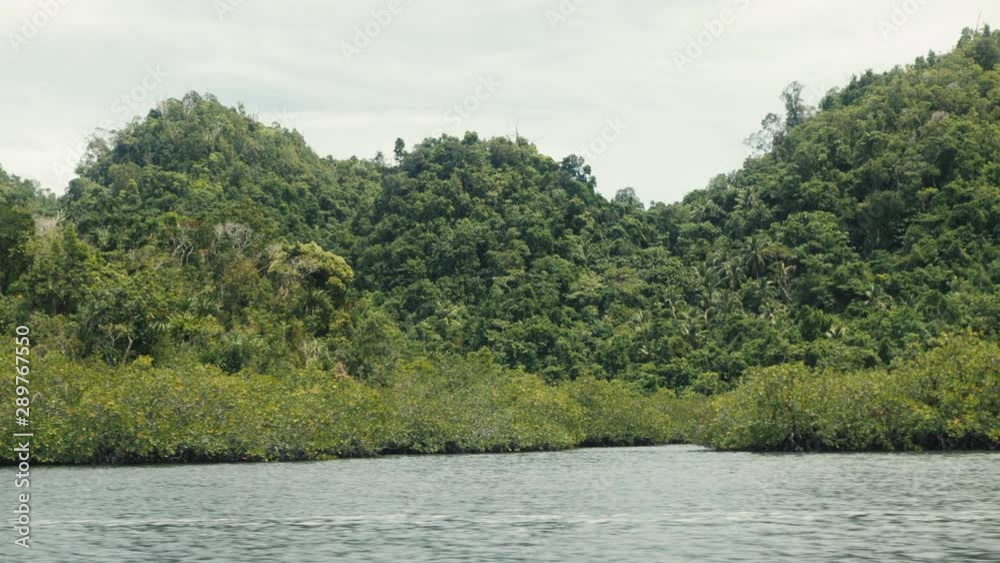 Captivating beauty of rainforest hills in the tropical island. Phillippines. Captivating beauty of rainforest hills in the tropical island. Phillippines.