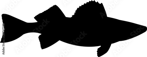 Walleye Pike Fish Silhouette Vector photo