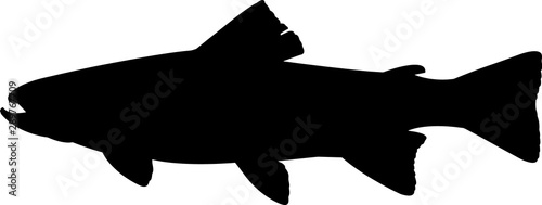 Trout Fish Silhouette Vector
